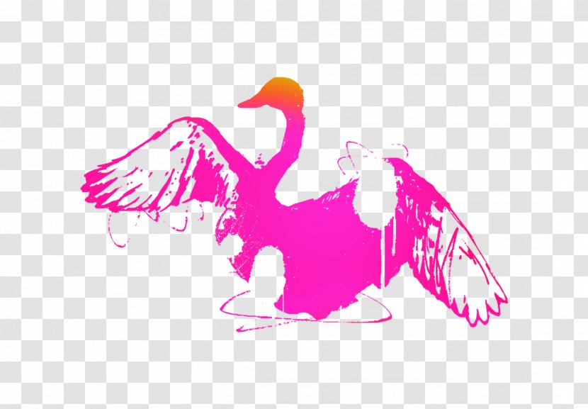 Beak Swans Goose Duck Water Bird Transparent PNG