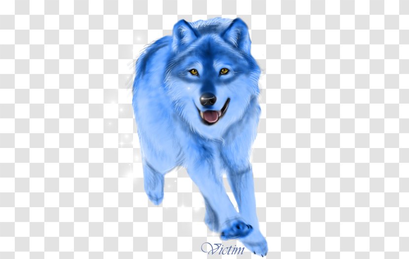Dog Mammal Canidae Snout Carnivora - Gray Wolf - BLUE WOLF Transparent PNG