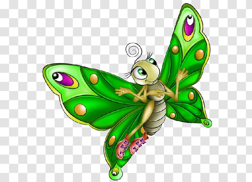 Butterflies & Insects Clip Art Cartoon Image - Moths And - Insect Transparent PNG