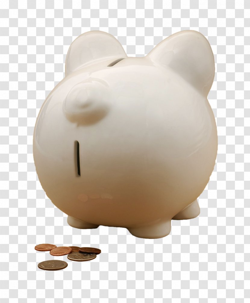Domestic Pig Piggy Bank Transparent PNG