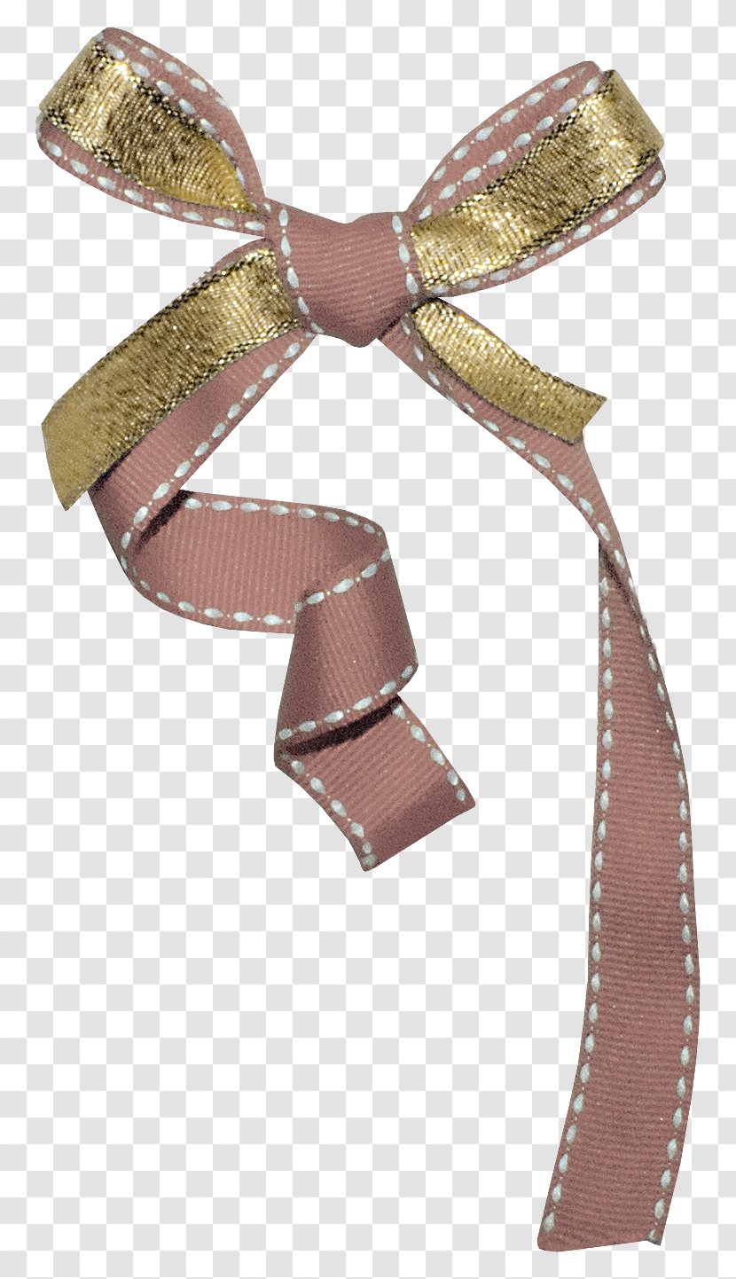 Ribbon Shoelace Knot Vecteur - Color Bow Transparent PNG