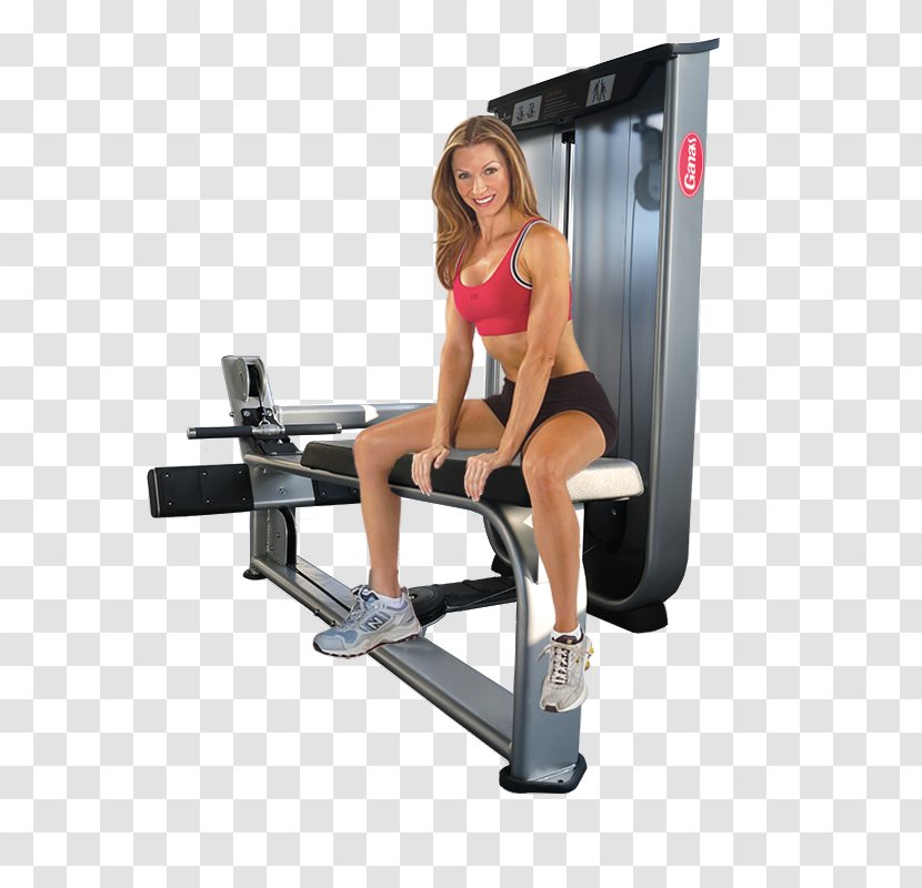 Fitness Centre Physical Bodybuilding Weight Training Exercise Equipment - Flower Transparent PNG