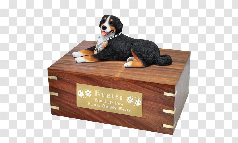 Dog Breed Bernese Mountain Pet - Table Transparent PNG