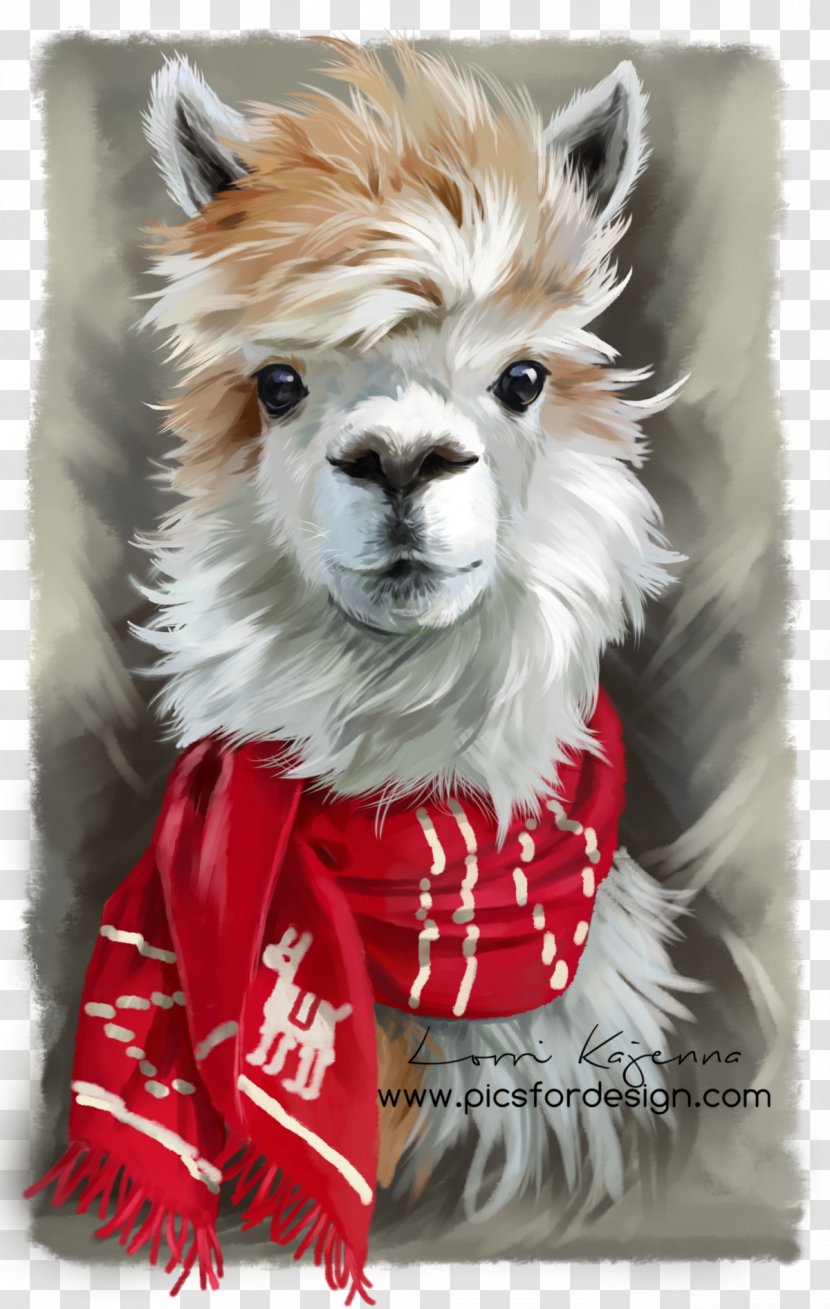 Alpaca T-shirt Llama Clothing Vicuña - Art Transparent PNG