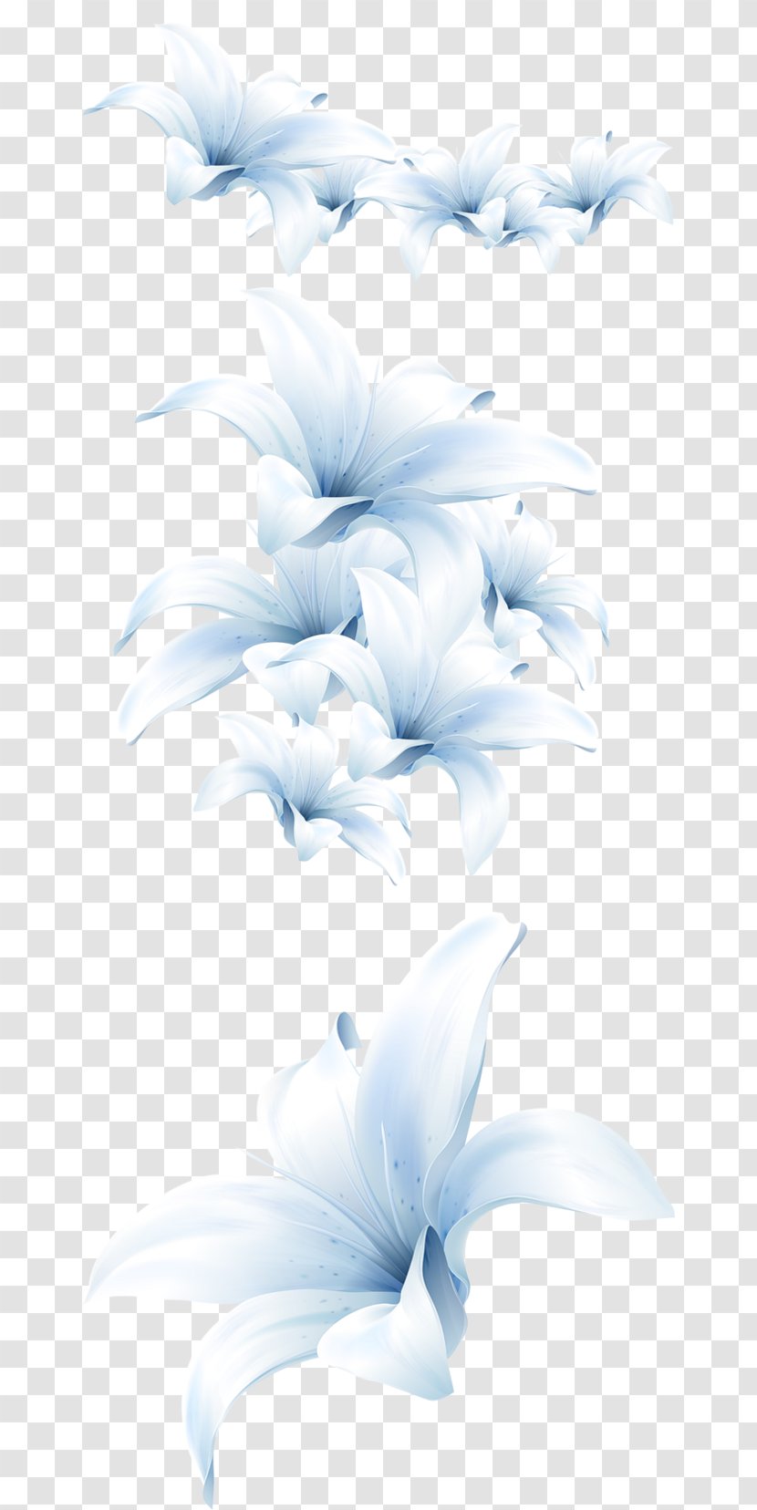 Flower Bouquet Lilium Candidum White - Rose - Lily Transparent PNG