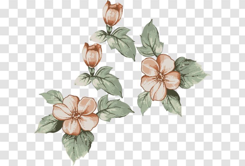 Flower Drawing - Floral Design Transparent PNG