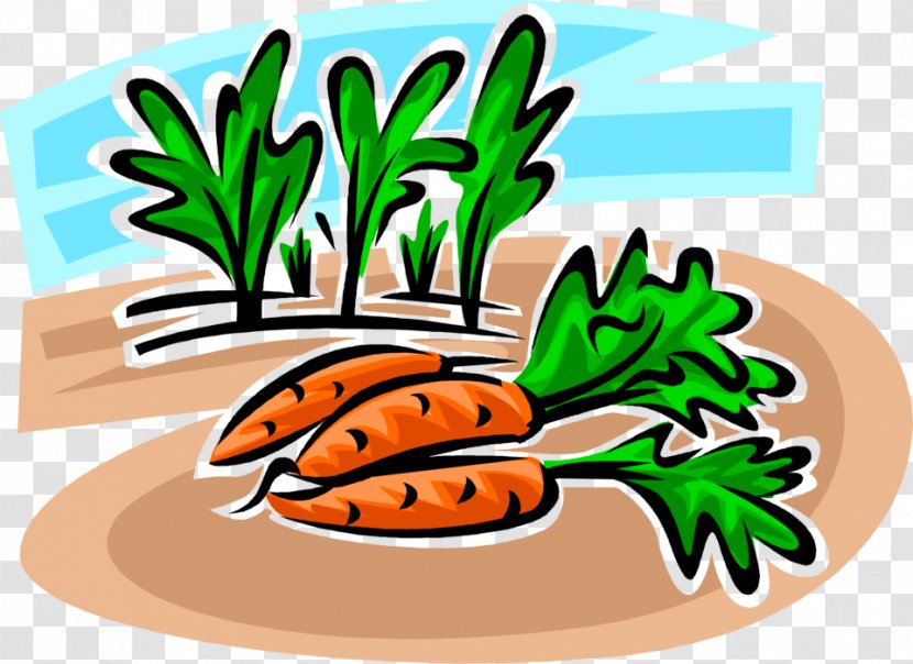 Illustration Clip Art Vegetable Fruit Commodity - Carottes Vector Transparent PNG