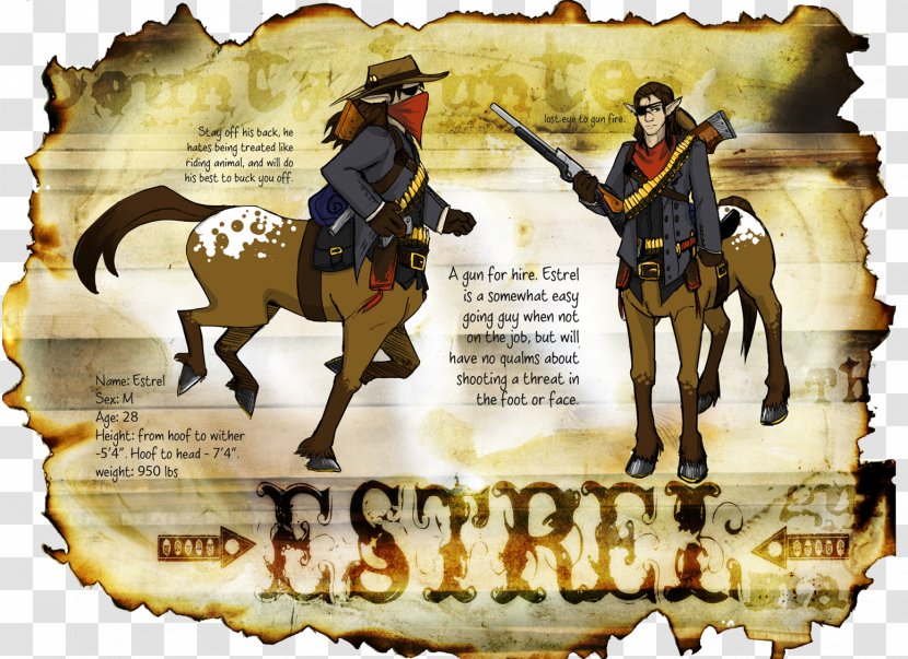 Horse Cowboy Pack Animal Transparent PNG