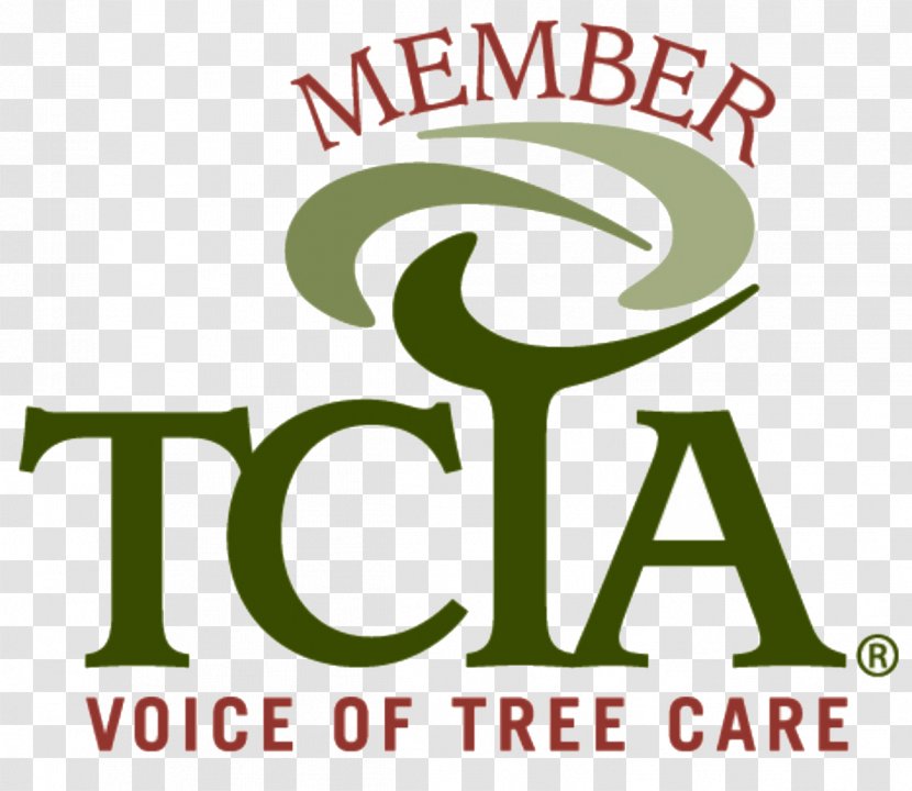 Tree Care Pruning Certified Arborist - Grass - Engine Tuning Transparent PNG