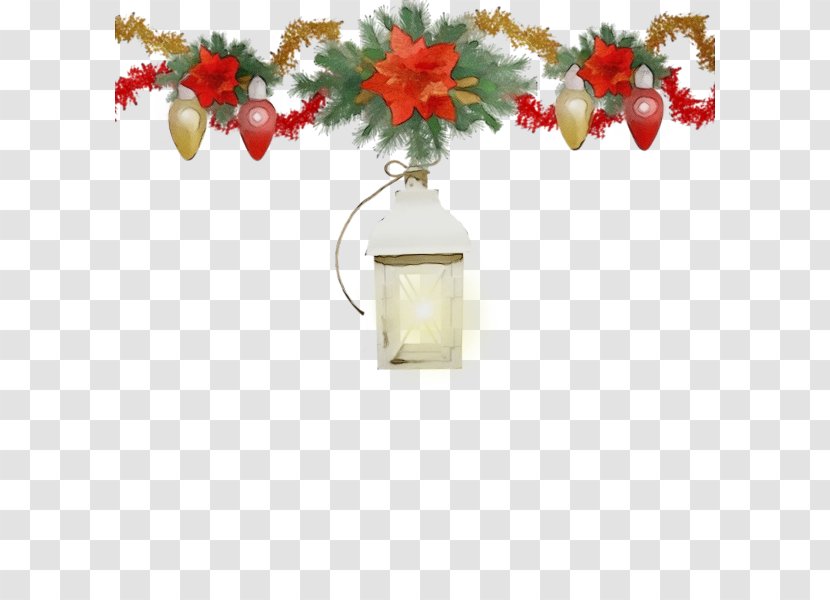 Holly - Paint - Cut Flowers Transparent PNG