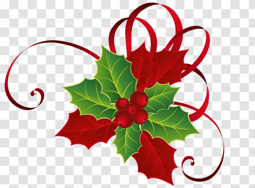 Red Christmas Ornament - Aquifoliales - Grape Leaves Plant Transparent PNG