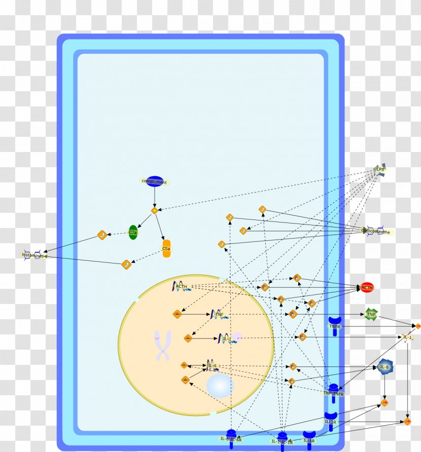 Line Point Diagram - Area Transparent PNG