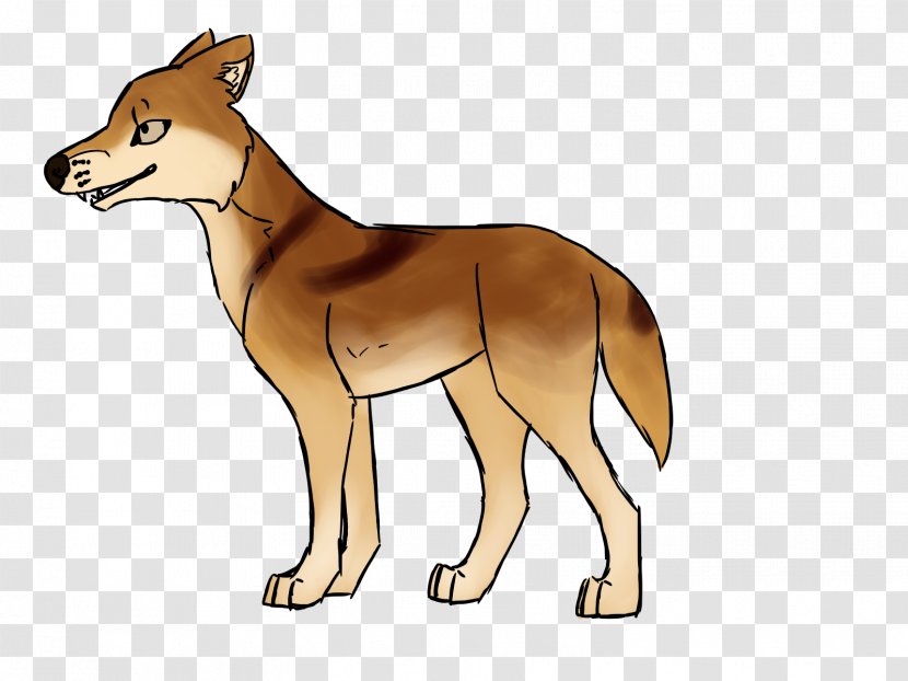 Red Fox Coyote Dhole Dingo Jackal - Pet Transparent PNG