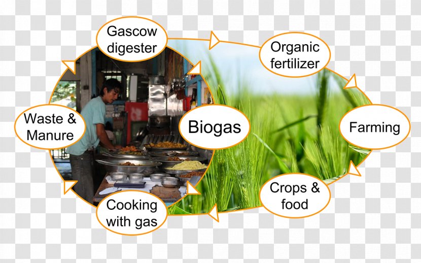 Biogas Service Customer Waste-to-energy - Renting Transparent PNG