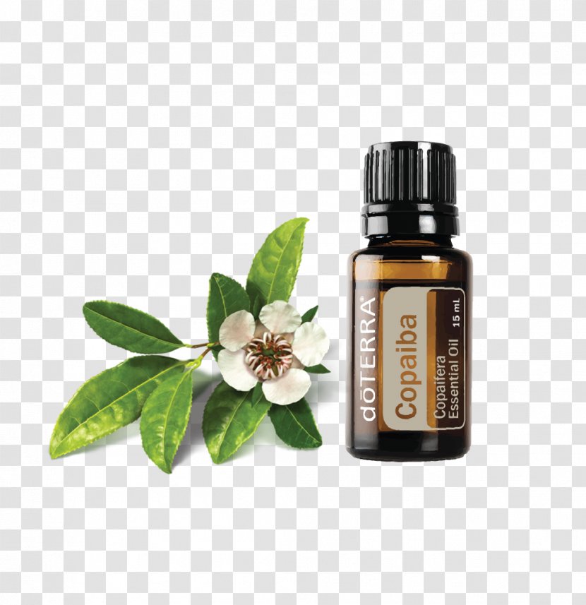 Essential Oil DoTERRA Serenity Restful Complex Softgels Copaiba Transparent PNG