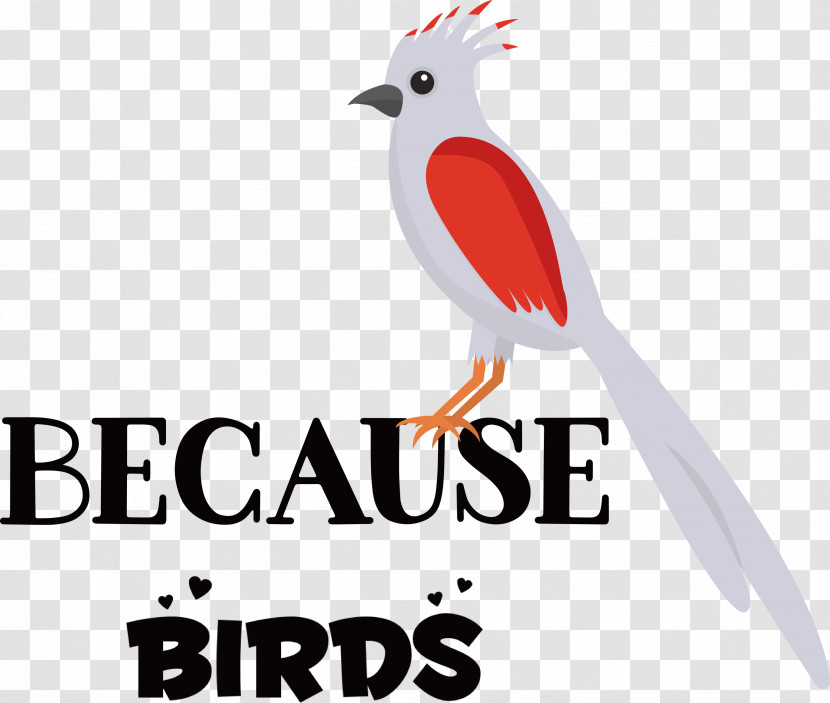 Because Birds Bird Animal Transparent PNG