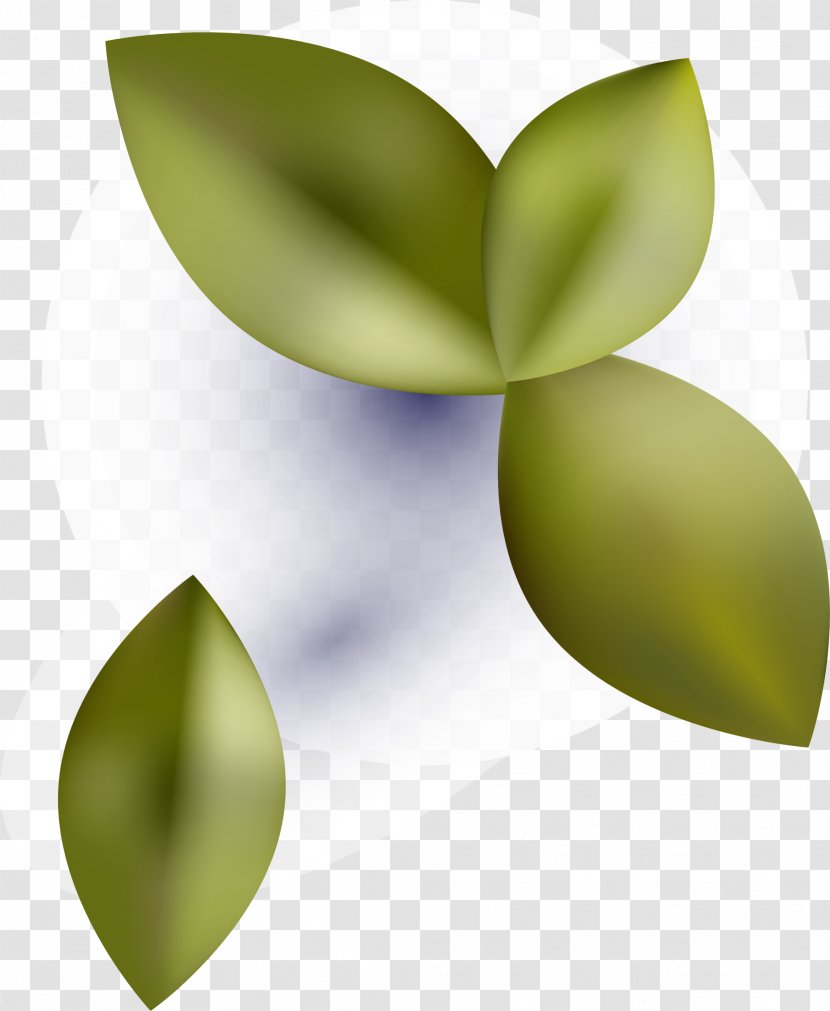 Leaf Green Computer Wallpaper - Fresh Leaves Transparent PNG