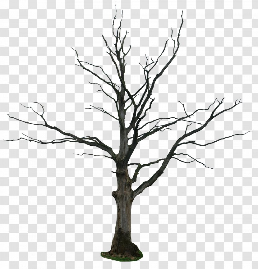 Tree Drawing Snag Clip Art - Dead Cartoon Transparent PNG