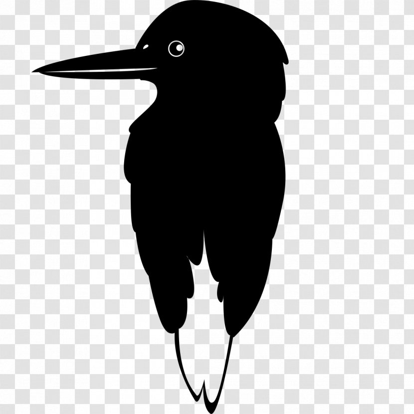 Beak Flightless Bird Silhouette Clip Art - Wing Transparent PNG