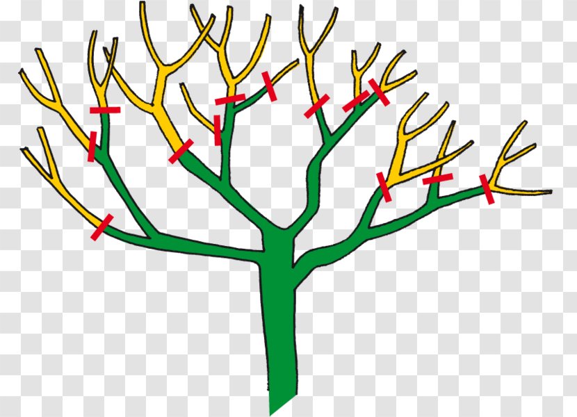 Branch Tree Pruning Garden Rose Transparent PNG