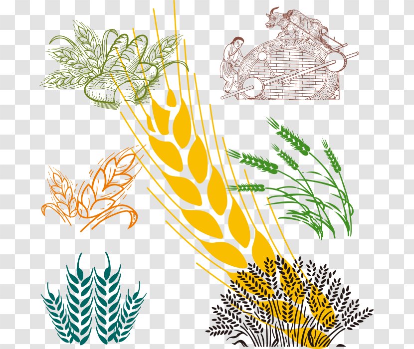 Wheat Cartoon Clip Art - Hand Painted Transparent PNG