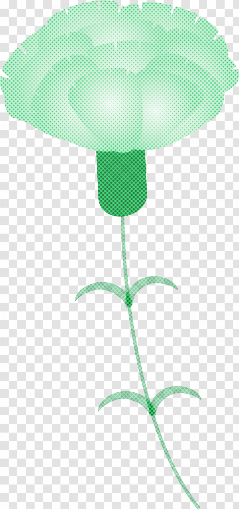 Mothers Day Carnation Mothers Day Flower Transparent PNG