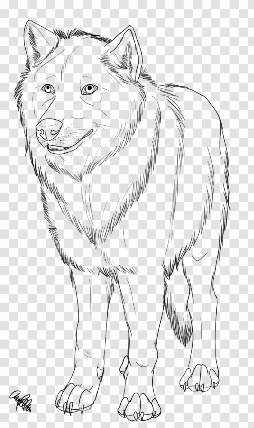 Dog Breed Red Fox Line Art Drawing - Carnivoran - Painted Gray Wolf Transparent PNG
