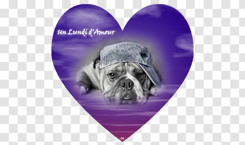 Pug Bulldog Puppy Dog Breed Love - Heart - Mon Amour Transparent PNG