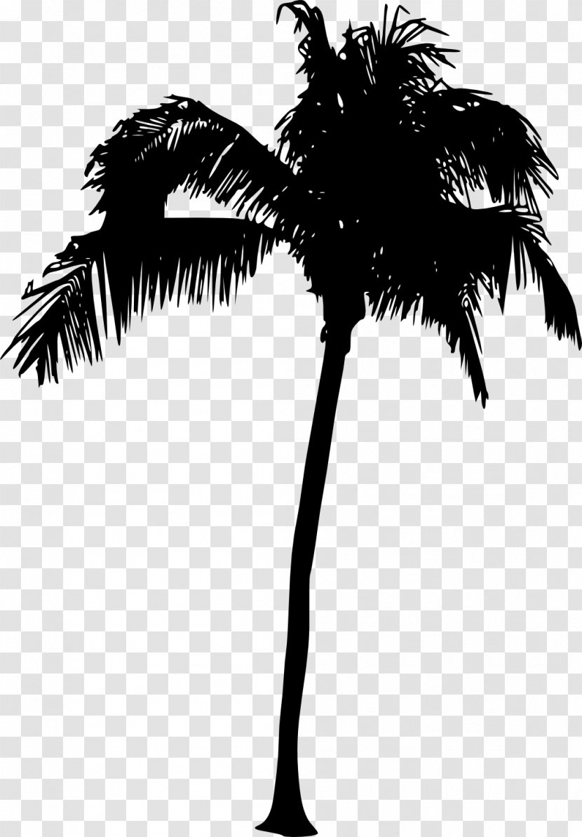 Arecaceae Tree Silhouette - Woody Plant Transparent PNG