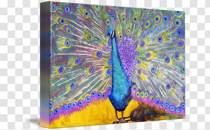Lavender Peafowl Feather Painting Blue-green - Organism - Peacock Transparent PNG