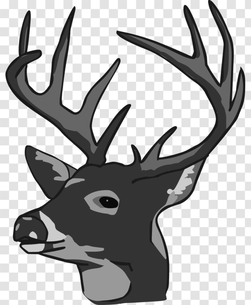 White-tailed Deer Reindeer Elk Clip Art - Drawing - Doe Head Cliparts Transparent PNG