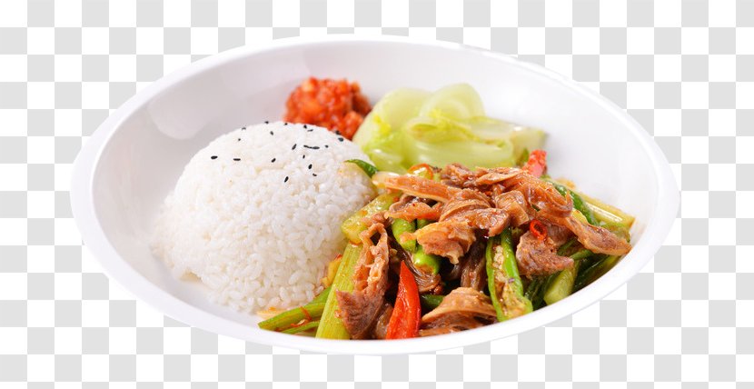 Food Lunch White Rice - Southeast Asian - Spicy Tendon Transparent PNG
