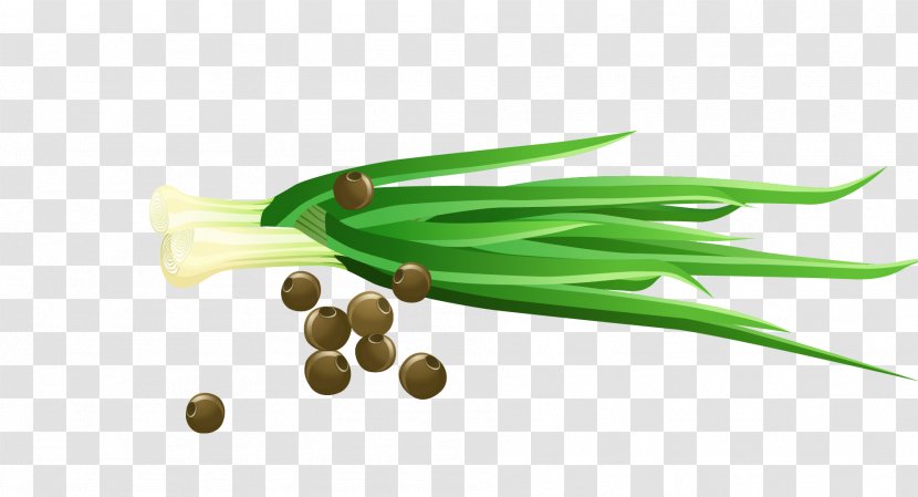 Vegetable Scallion Cartoon - Spice - Vector Vanilla Green Onions Transparent PNG