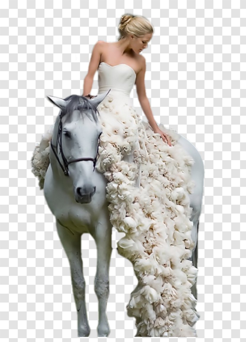 Wedding Dress Horse Woman - White Transparent PNG