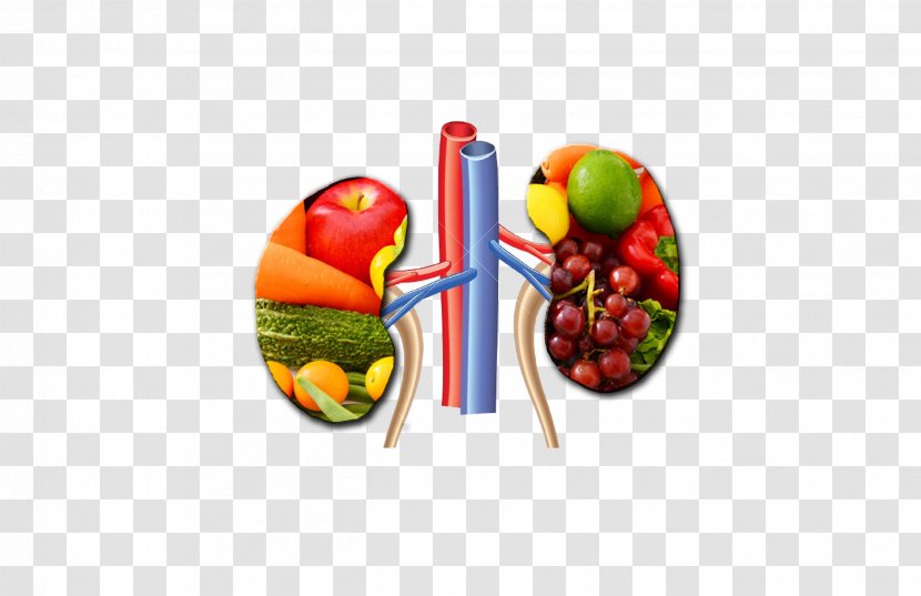 Chronic Kidney Disease Failure Hemodialysis Health - Vegetable Transparent PNG