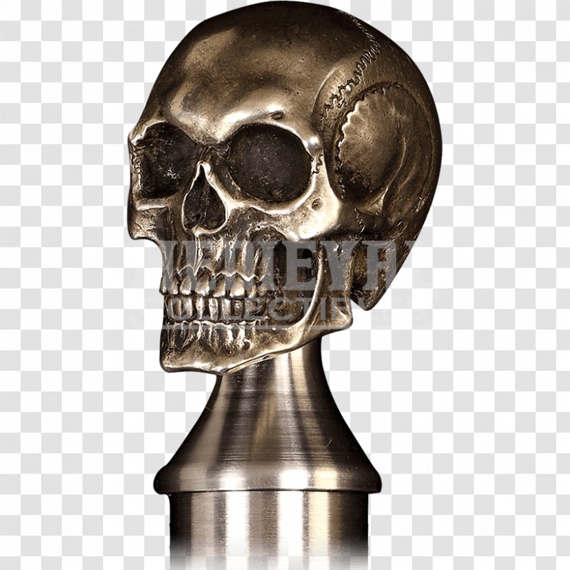 Skull Skeleton Metal Stock Photography Jaw Transparent PNG