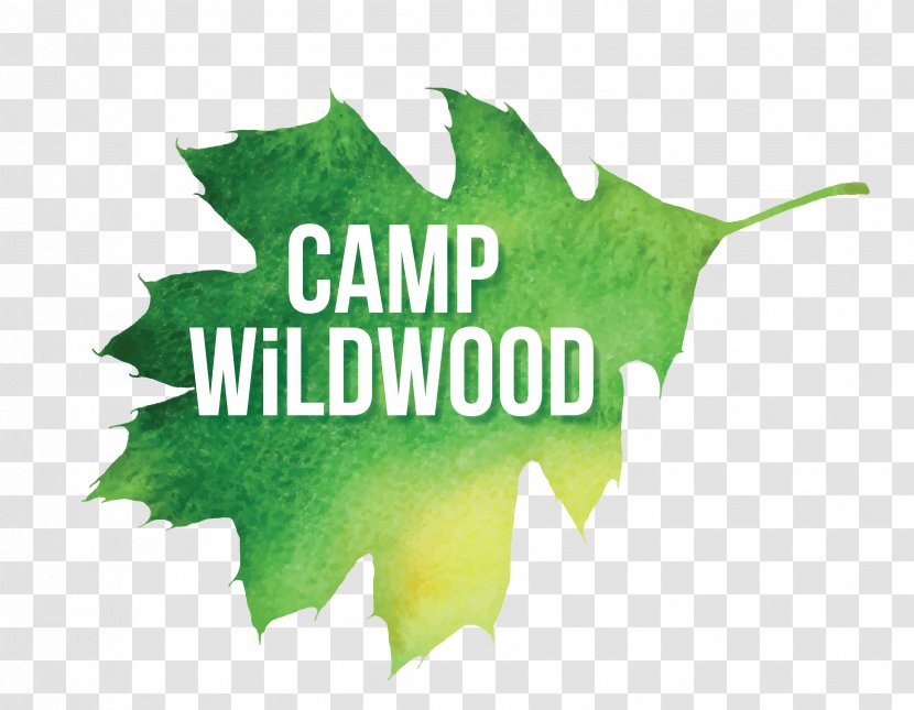 Logo Desktop Wallpaper Brand Leaf Font - Computer - Summer Camp Transparent PNG