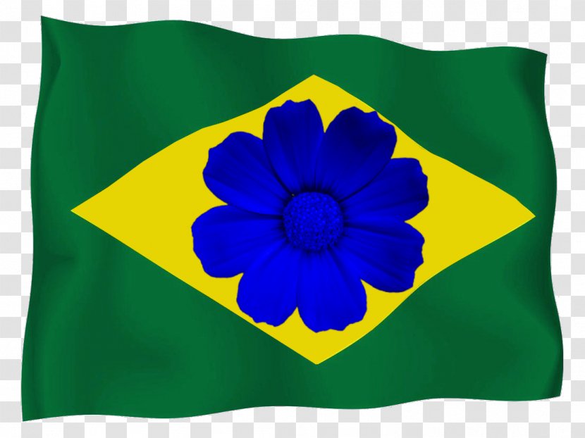 Flag Of Brazil Bible - Stylized Transparent PNG