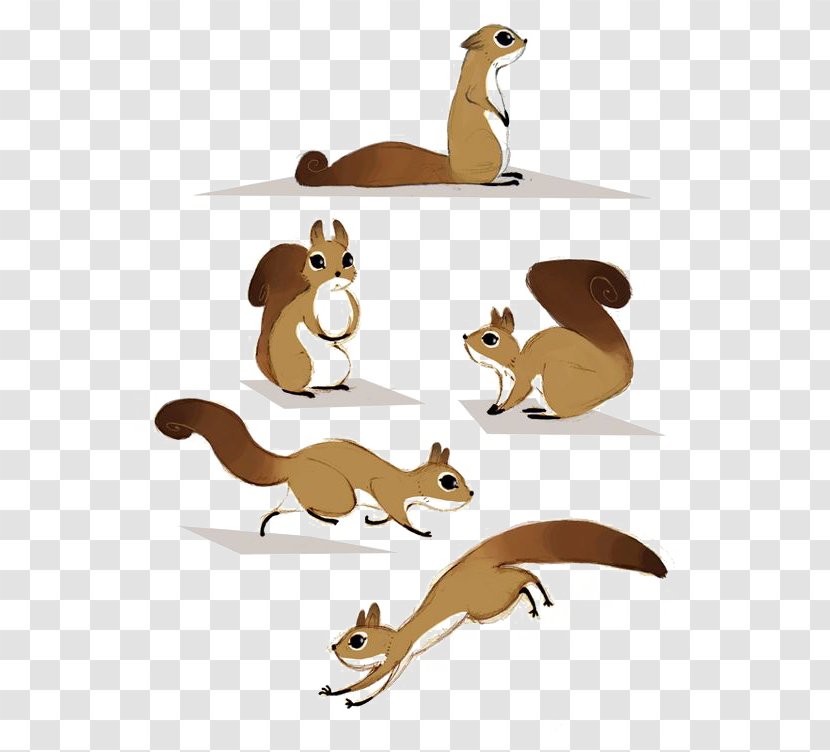 Squirrel Canidae Rodent Clip Art - Macropodidae Transparent PNG