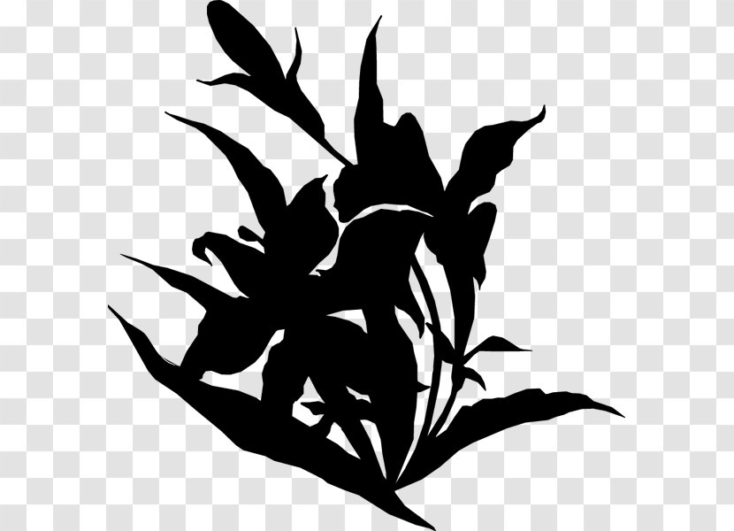 Clip Art Character Black Flower Silhouette - Botany Transparent PNG