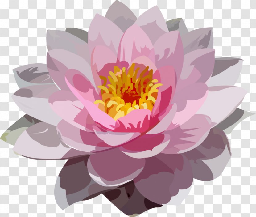 Peony Floristry Petal Aquatic Plants Pink M - Flowering Plant Transparent PNG