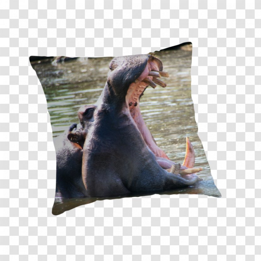 Throw Pillows Cushion Snout - Pillow Transparent PNG