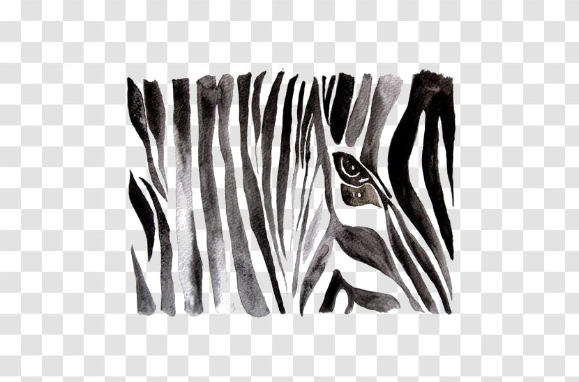 Zebra Black And White Watercolor Painting Drawing Transparent PNG