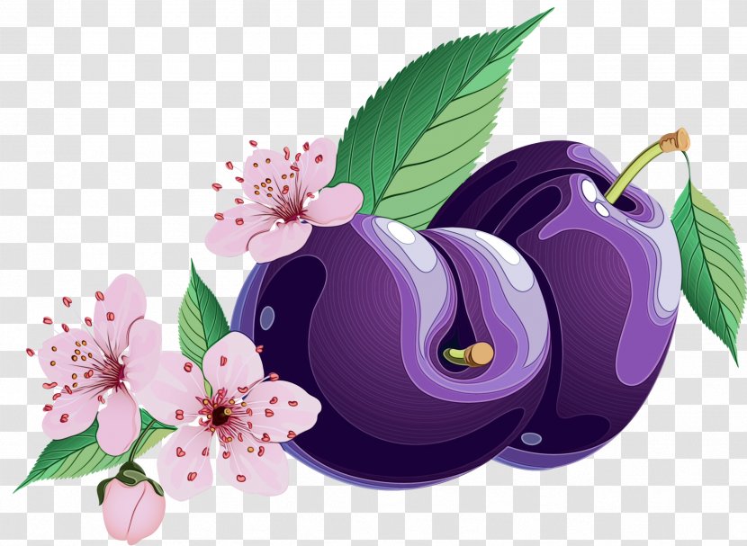 Purple Watercolor Flower - Floral Design - Fruit Petal Transparent PNG