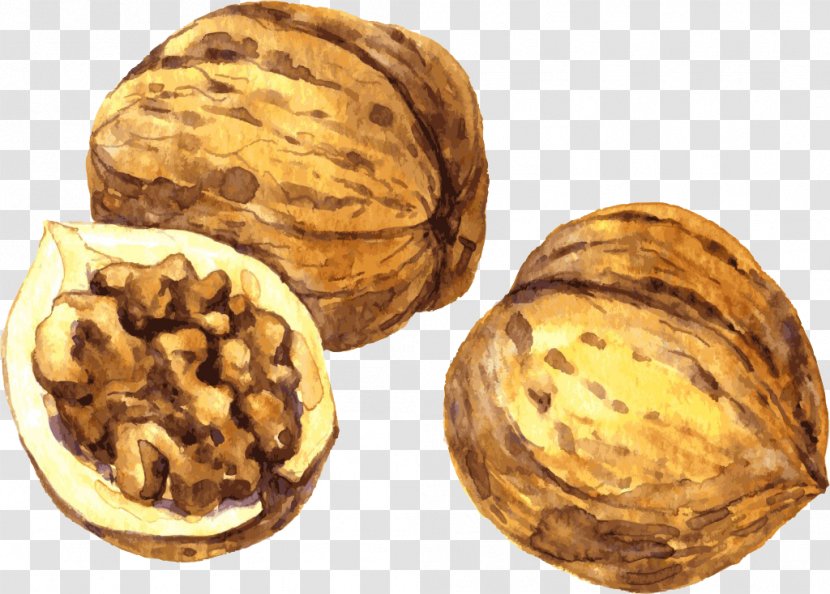 Walnut Painting Drawing - Art - Hand-painted Health Food Material Transparent PNG