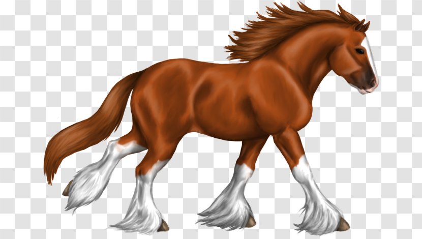 Mustang Stallion Clydesdale Horse Foal Friesian Transparent PNG