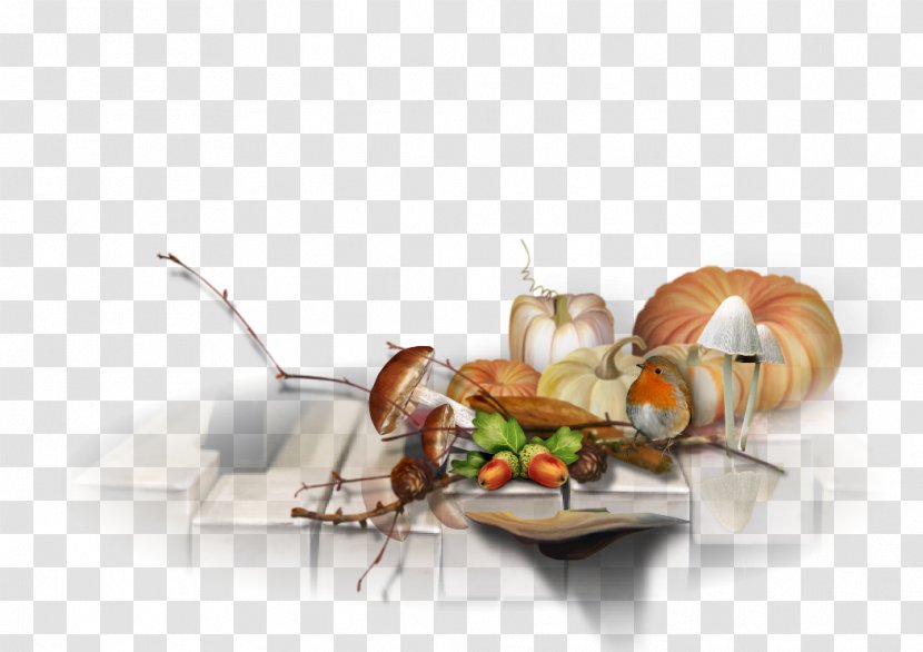 Food - Design Transparent PNG