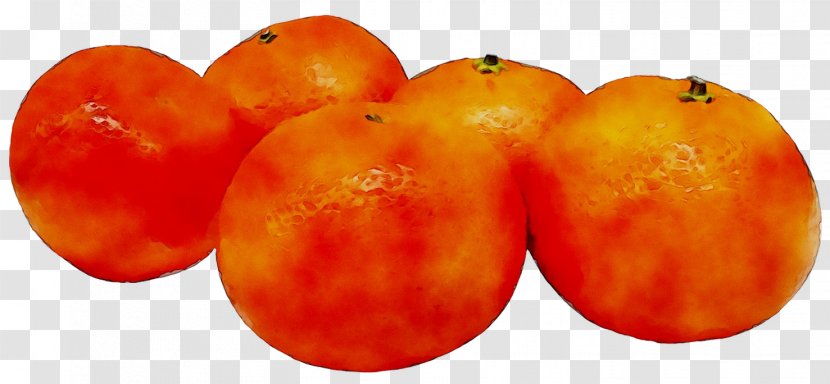 Plum Tomato Food Ha Ne Mo - Natural Foods - Vegetarian Transparent PNG