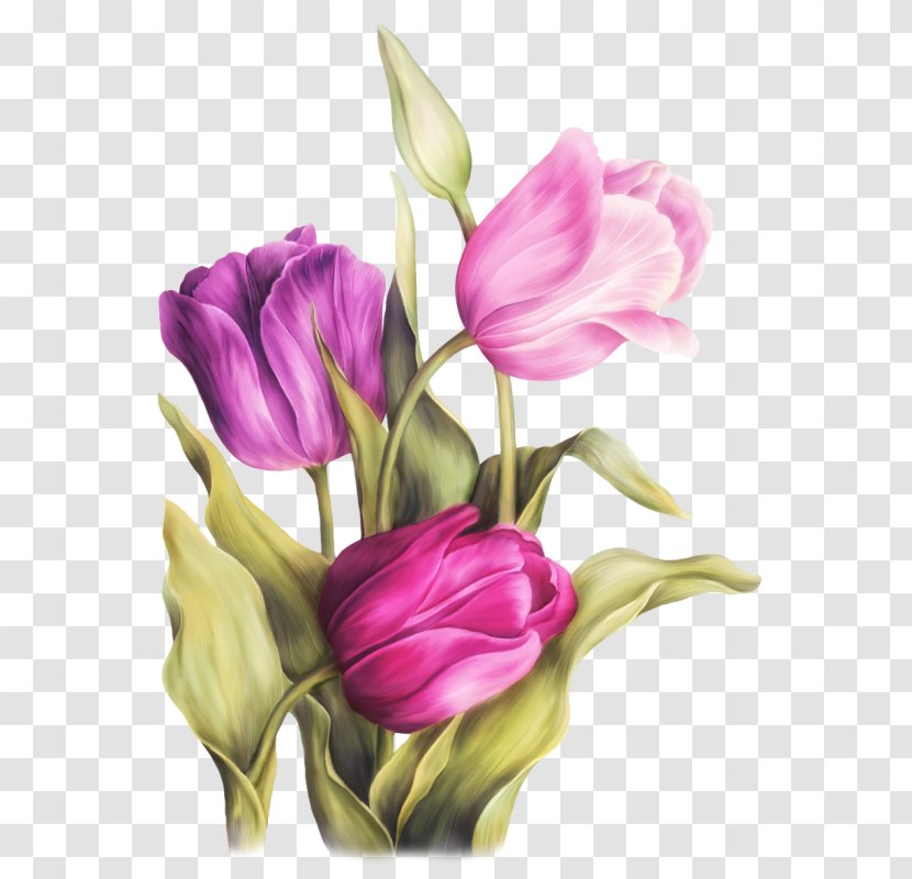 Watercolor Painting Art Tulip - Flower Transparent PNG