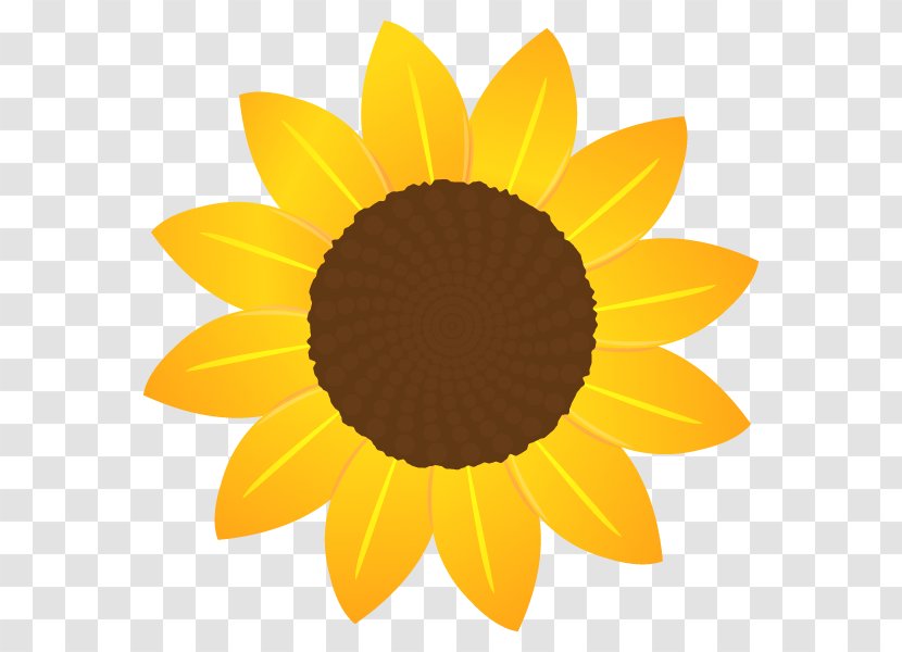 Sunflower Seed Sunflowers - Orange Transparent PNG
